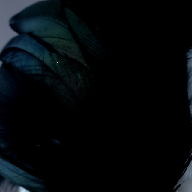 "Lola" Black Feather Headdress Fascinator Hat