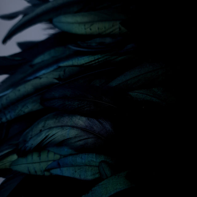 "Lola" Black Feather Headdress Fascinator Hat