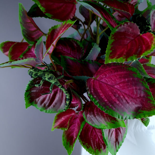 "Shailagh" Pink Leaf & Lizard Headdress