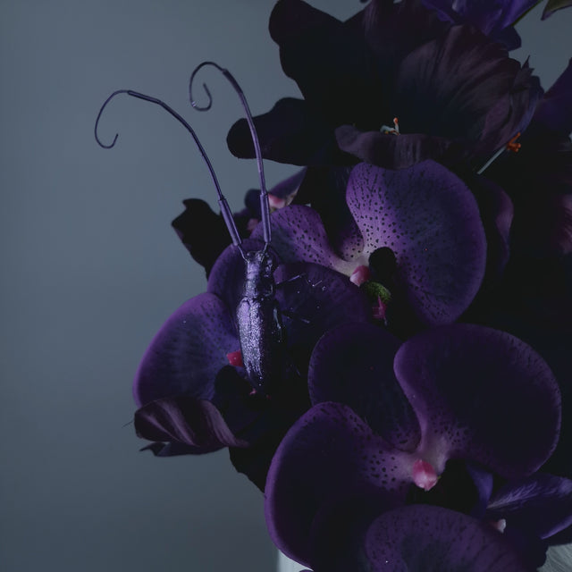 "Bibi" Purple Orchid & Beetle Fascinator Hat