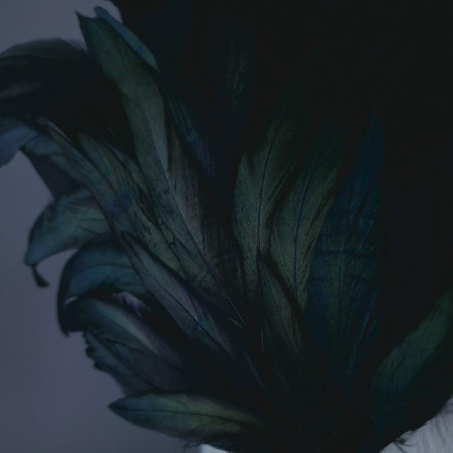 "Roo" Black Feather Headdress Fascinator Hat