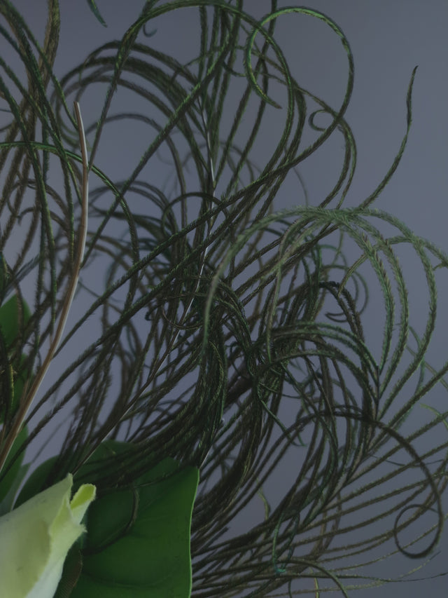 Pearls & Swine: Maximalist White Orchid Floral Feather Headpiece with Parrot