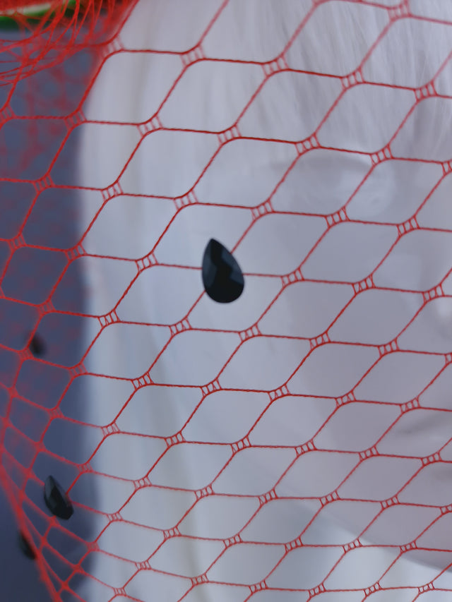 "Not In My Name" Watermelon Veil Headpiece