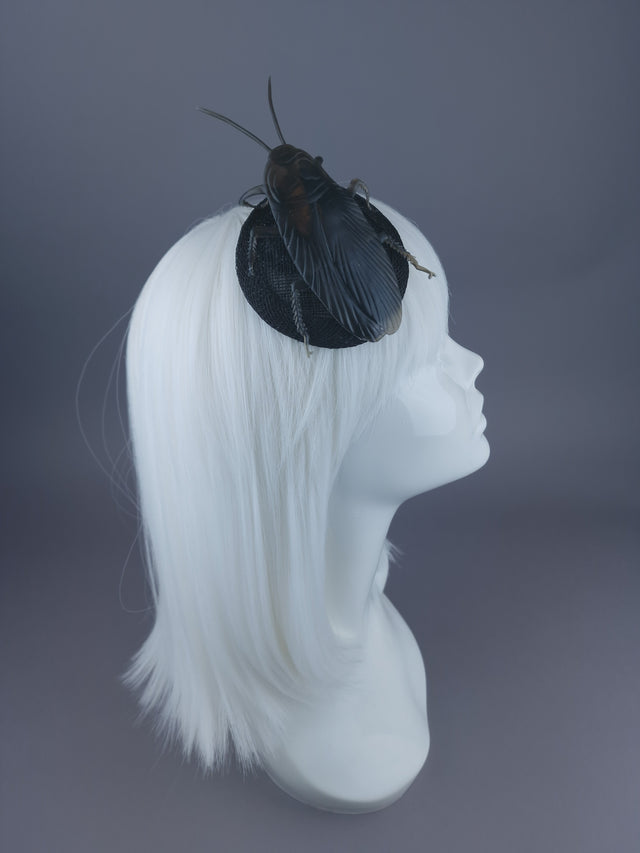 Pearls & Swine: Extra Large Cockroach Mini Fascinator "Trixy-belle"