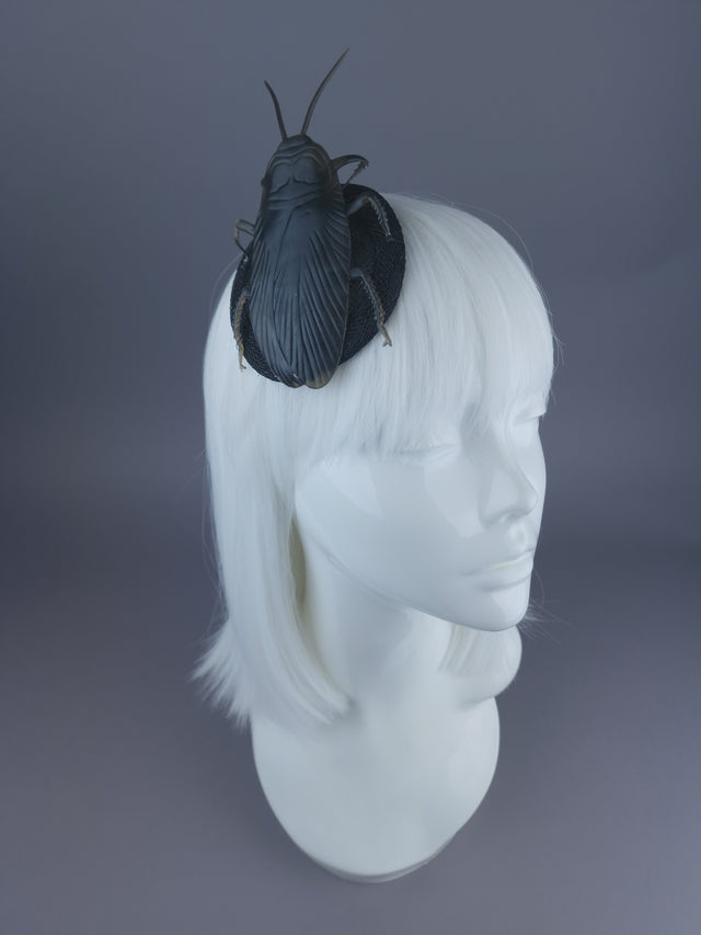 Pearls & Swine: Extra Large Cockroach Mini Fascinator "Trixy-belle"