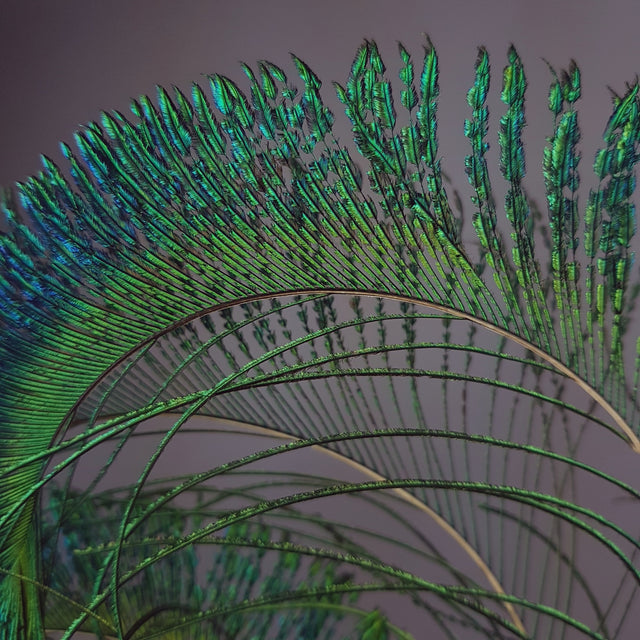 "Under The Sea" Quirky Lobster & Starfish Headband