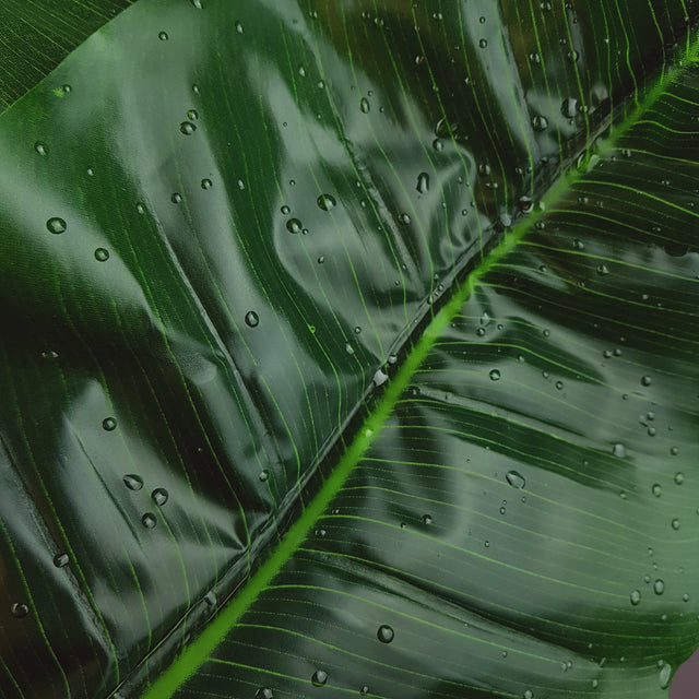 "Plátano" Tropical Banana and Banana Leaf Fascinator Hat