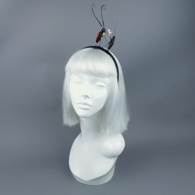 "Bottoms Up!" Cochroach & Cocktail Insect Headband