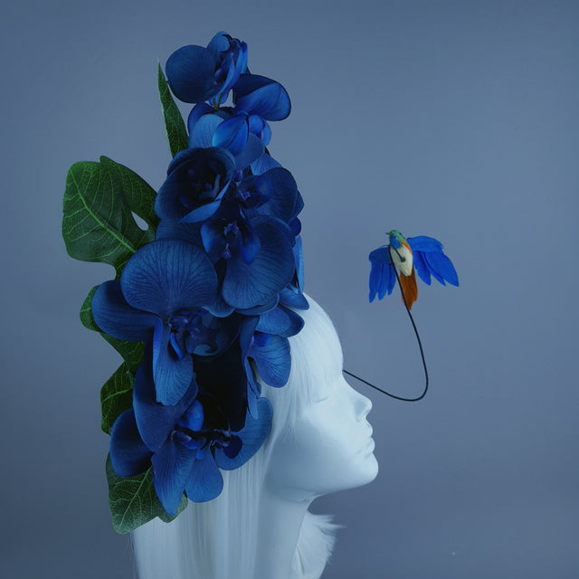 "Aria" Navy Blue Orchid & Hummingbird Headdress