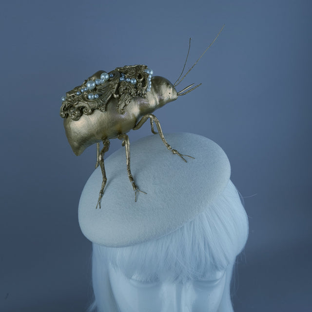"Cronos" Giant Filigree Insect Bug Fascinator Hat