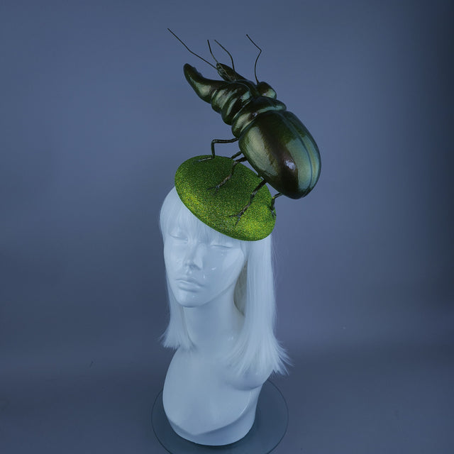 "Scuttle" Giant Stag Beetle Insect Bug Fascinator Hat