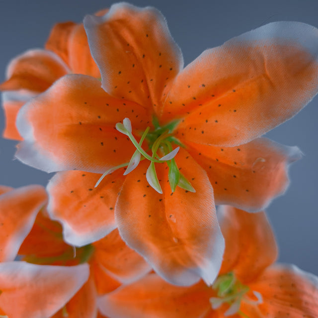 Bright Orange Lily Flower Headdress