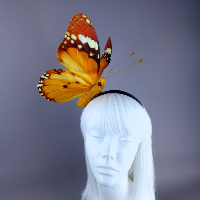 "Kocho" Giant Orange Butterfly Headdress