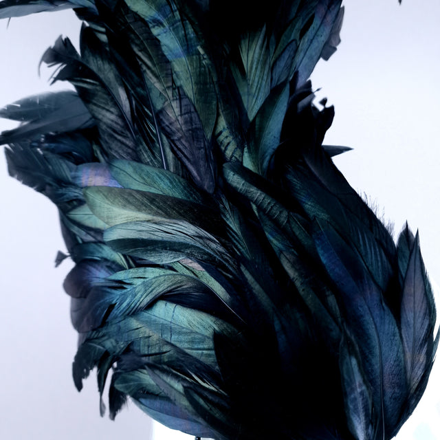 "Roo 2" Black Feather Headdress Fascinator Hat