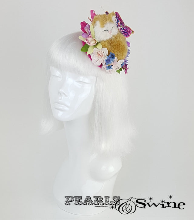 sleeping kitten cat flower butterfly fascinator