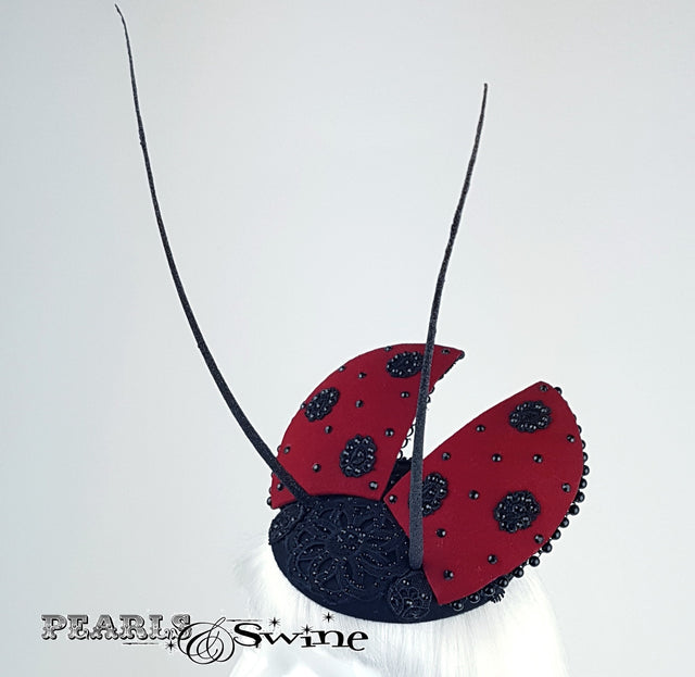 Ladybird hat