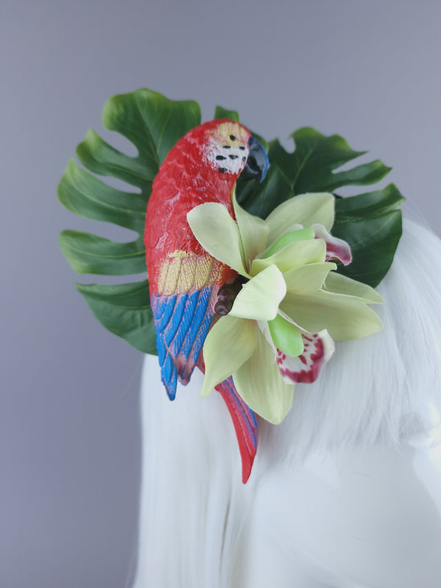 "Tropic" Red Parrot & Orchid Mini Fascinator
