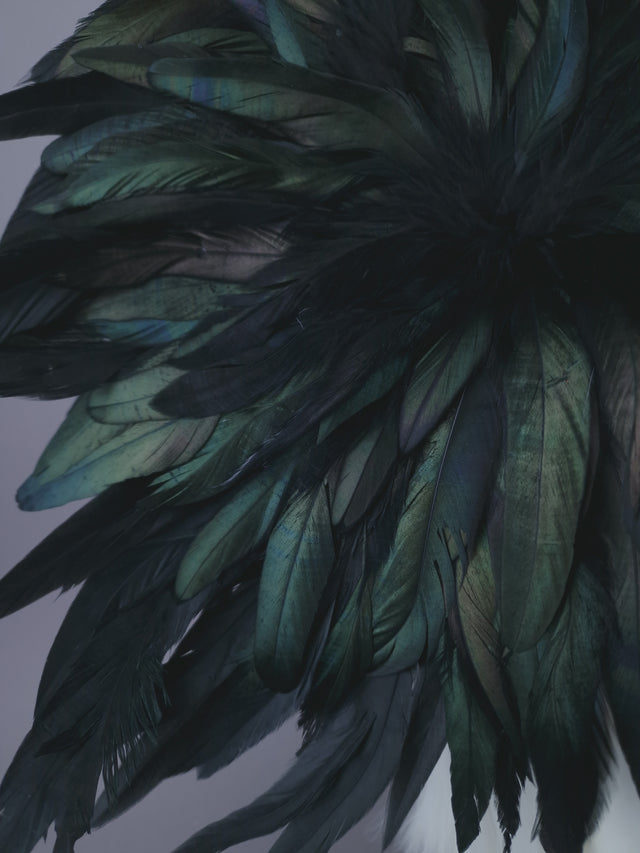 "Fleurir" Black Feather Hat