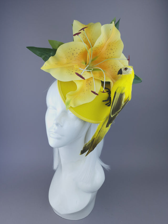 "Caius" Giant Yellow Lily & Parrot Fascinator