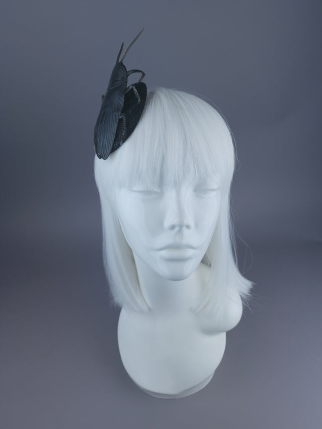 Pearls & Swine: Extra Large Cockroach Mini Fascinator "Trixy-belle"