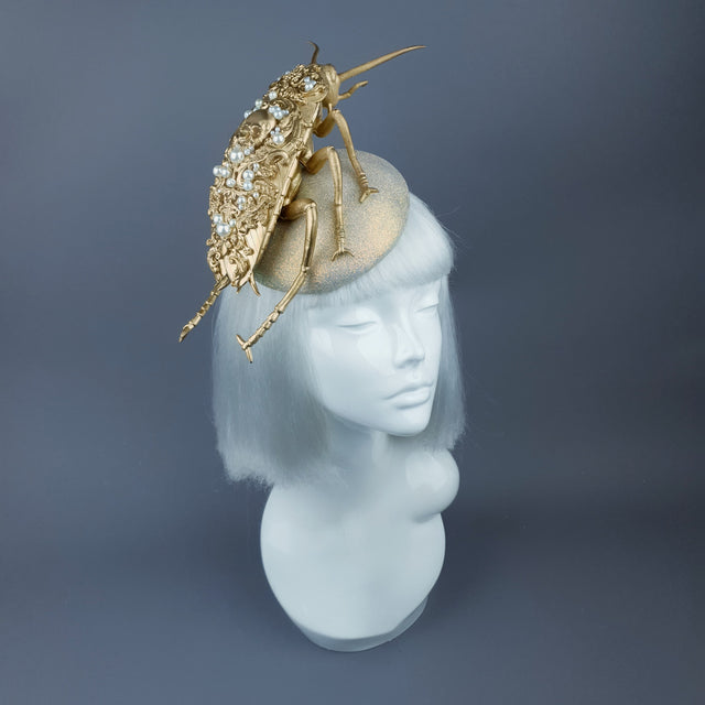 "Coro" Giant Filigree Gold & Pearl Cockroach Fascinator Hat