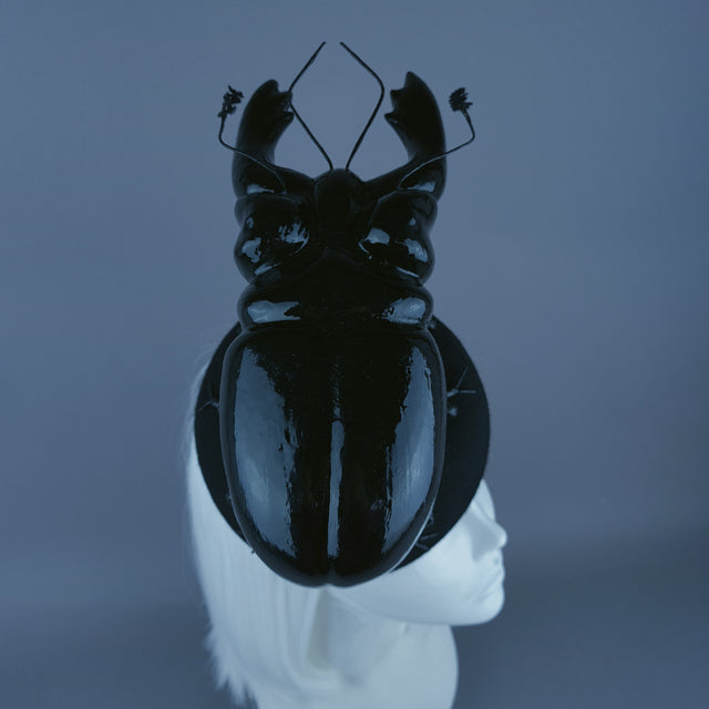 "Scuttle" Giant Stag Beetle Insect Bug Fascinator Hat