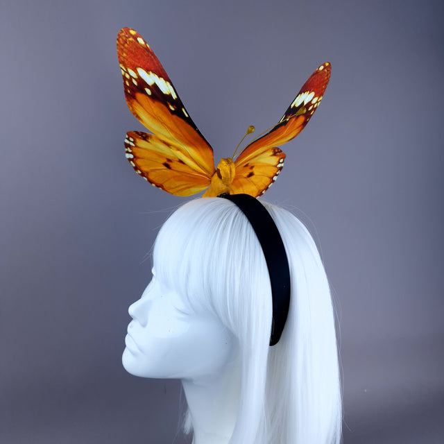 "Kocho" Giant Orange Butterfly Headdress