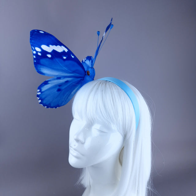 "Kocho" Giant Blue Butterfly Headdress